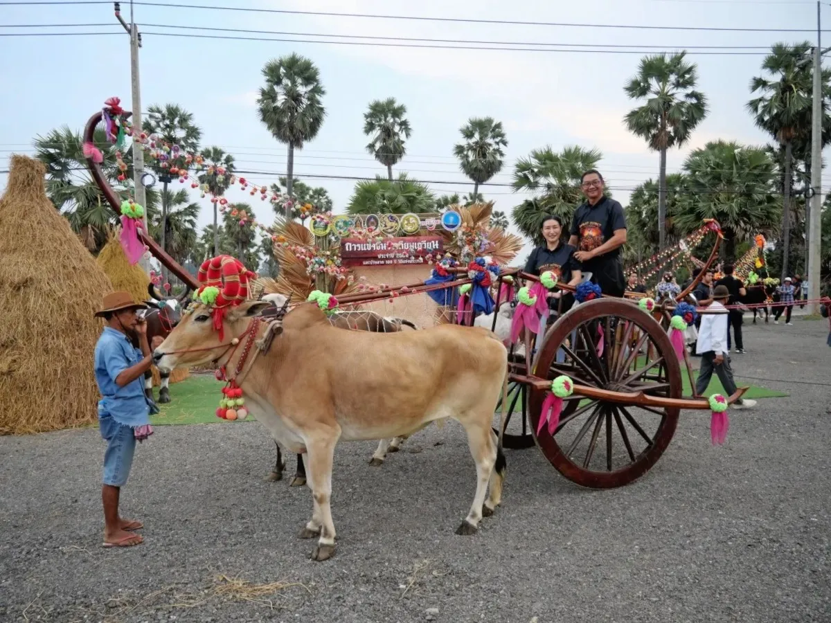 Rider posing with traditional ox cart at Ban Lat Ox Cart Racing Festival